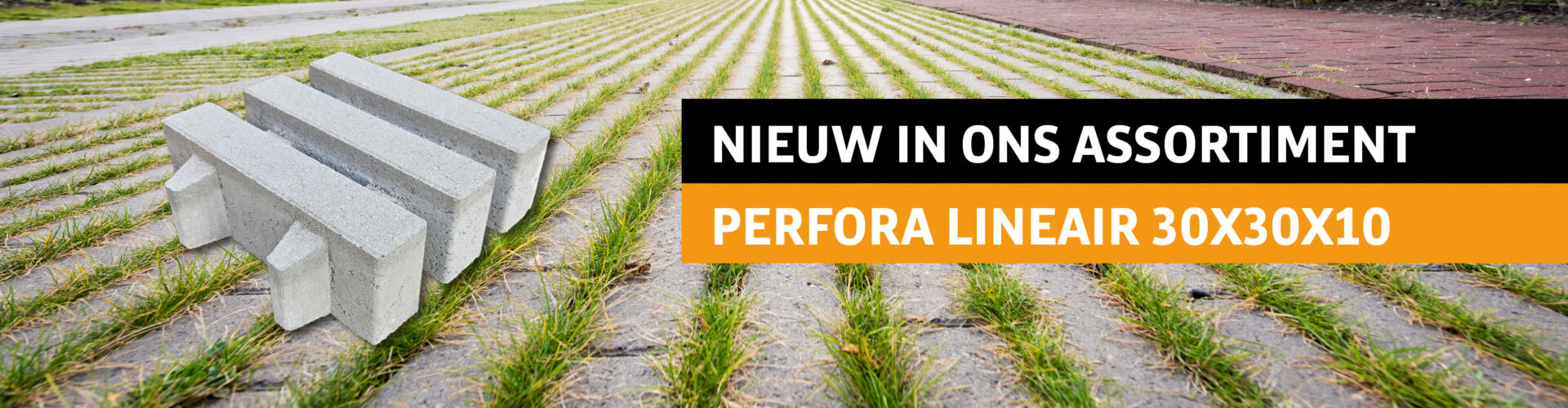 Nous pensons que dans les solutions