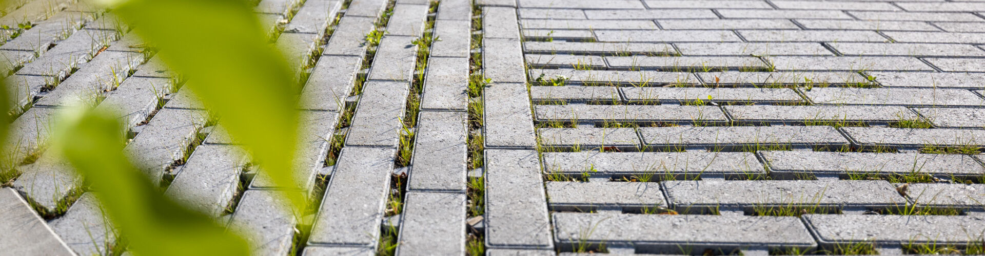 Superbes transitions avec Perfora linéaire